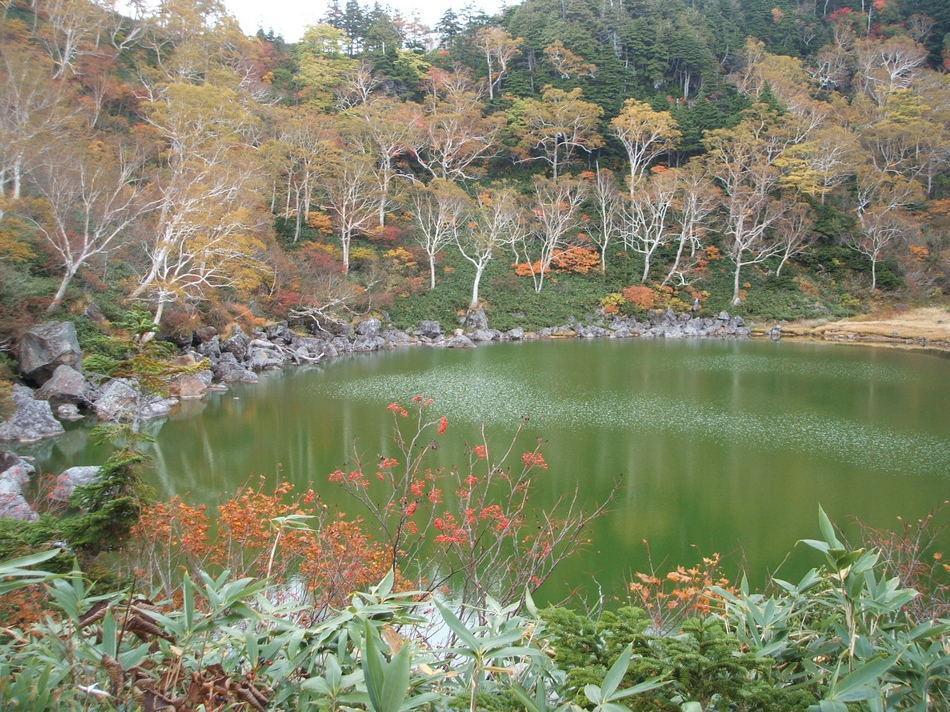 Natural Pension Pumpkin 오타리 외부 사진